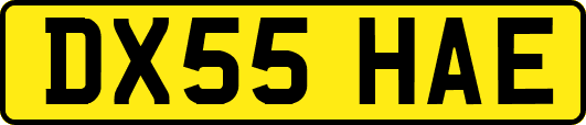 DX55HAE
