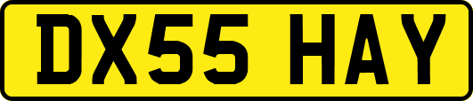 DX55HAY