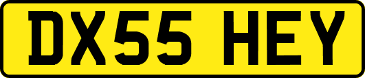 DX55HEY