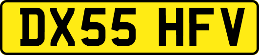 DX55HFV