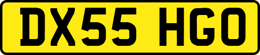 DX55HGO