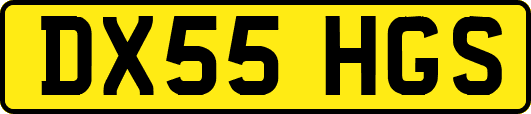 DX55HGS