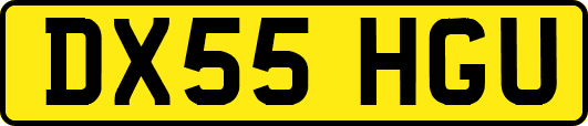 DX55HGU