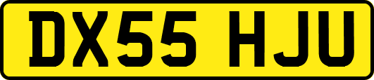 DX55HJU