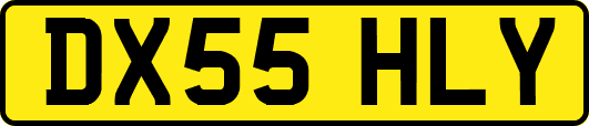 DX55HLY