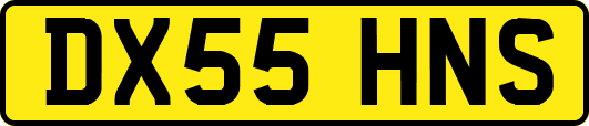 DX55HNS