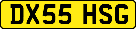 DX55HSG