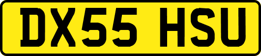 DX55HSU