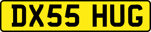 DX55HUG