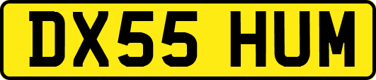 DX55HUM