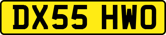 DX55HWO