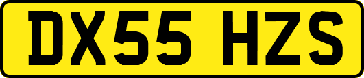 DX55HZS