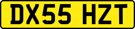 DX55HZT