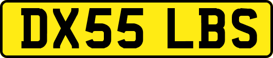 DX55LBS