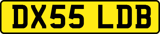 DX55LDB