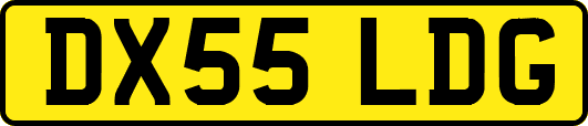 DX55LDG