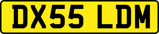 DX55LDM