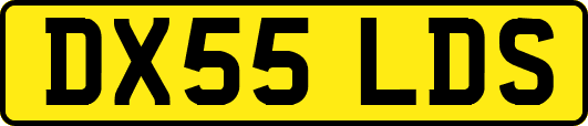 DX55LDS