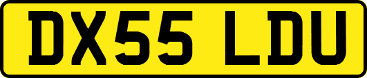 DX55LDU