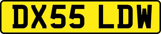 DX55LDW
