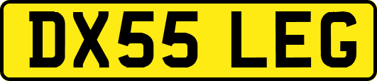 DX55LEG