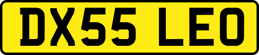 DX55LEO