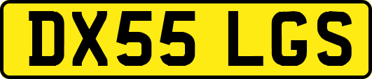 DX55LGS