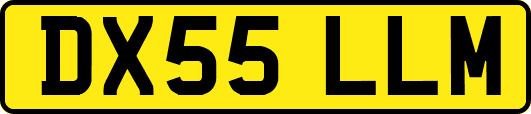 DX55LLM