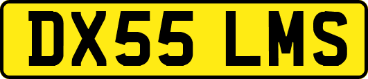 DX55LMS