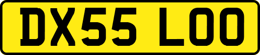 DX55LOO