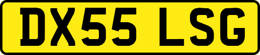 DX55LSG