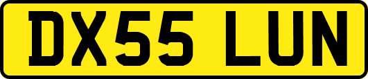 DX55LUN