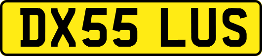 DX55LUS