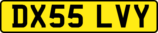 DX55LVY