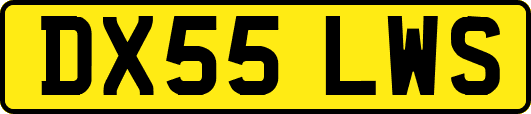 DX55LWS