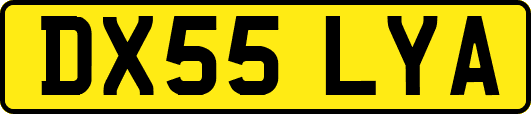 DX55LYA