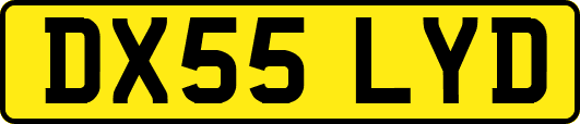 DX55LYD