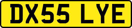 DX55LYE