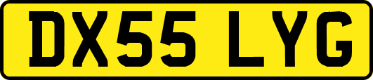 DX55LYG