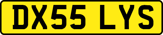 DX55LYS