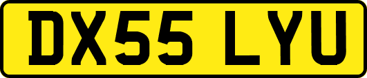 DX55LYU