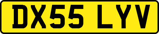 DX55LYV
