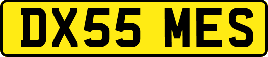 DX55MES