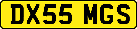 DX55MGS