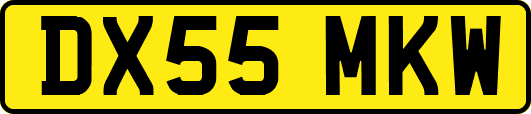 DX55MKW