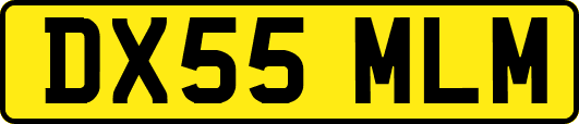DX55MLM
