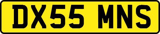 DX55MNS
