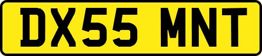 DX55MNT