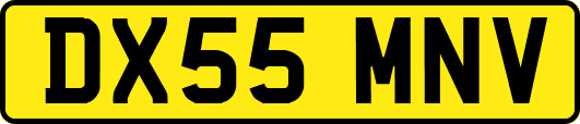 DX55MNV