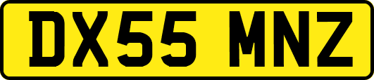 DX55MNZ